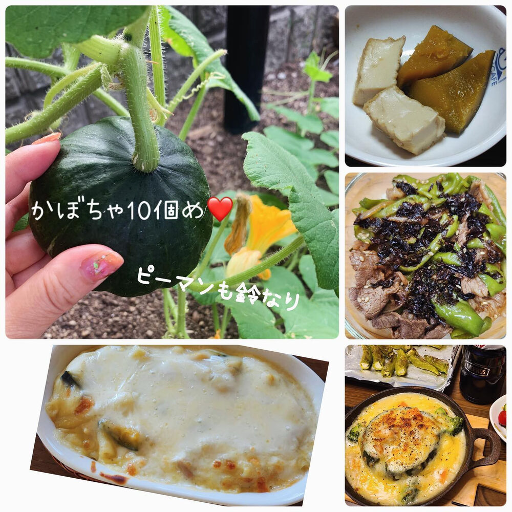 ブログ画像